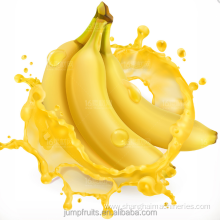 Banana juice production machine processing plant